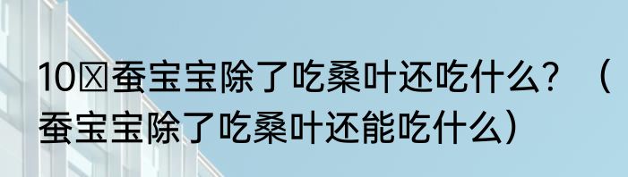 10 蚕宝宝除了吃桑叶还吃什么？（蚕宝宝除了吃桑叶还能吃什么）