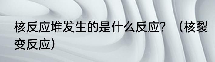 核反应堆发生的是什么反应？（核裂变反应）