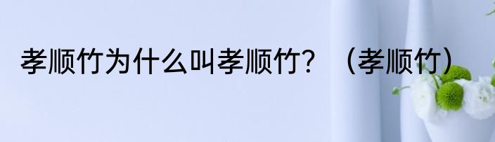 孝顺竹为什么叫孝顺竹？（孝顺竹）