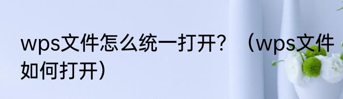 wps文件怎么统一打开？（wps文件如何打开）