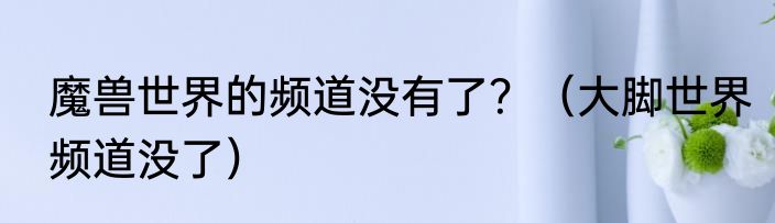 魔兽世界的频道没有了？（大脚世界频道没了）