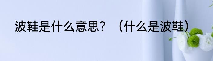 波鞋是什么意思？（什么是波鞋）