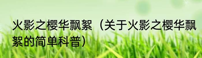 火影之樱华飘絮（关于火影之樱华飘絮的简单科普）