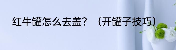 红牛罐怎么去盖？（开罐子技巧）