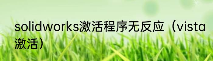 solidworks激活程序无反应（vista激活）
