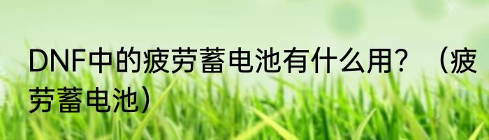 DNF中的疲劳蓄电池有什么用？（疲劳蓄电池）