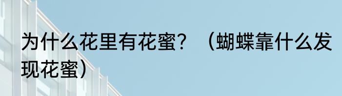 为什么花里有花蜜？（蝴蝶靠什么发现花蜜）