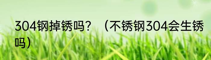 304钢掉锈吗？（不锈钢304会生锈吗）