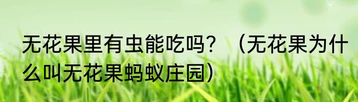 无花果里有虫能吃吗？（无花果为什么叫无花果蚂蚁庄园）