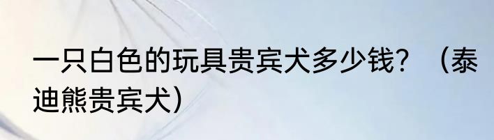 一只白色的玩具贵宾犬多少钱？（泰迪熊贵宾犬）