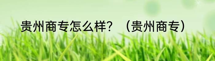贵州商专怎么样？（贵州商专）