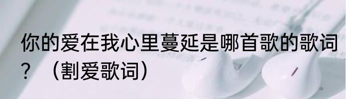你的爱在我心里蔓延是哪首歌的歌词？（割爱歌词）