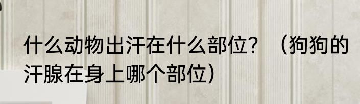 点蚊香的正确方式？（点燃的蚊香应该放在哪里）