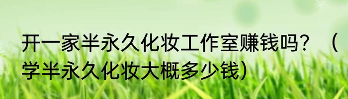 开一家半永久化妆工作室赚钱吗？（学半永久化妆大概多少钱）