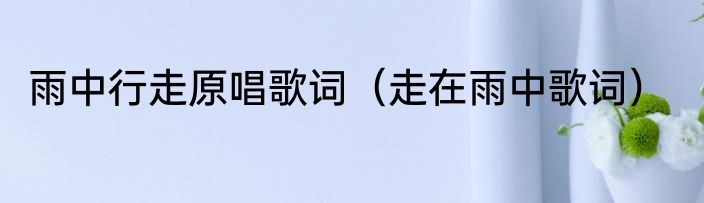 雨中行走原唱歌词（走在雨中歌词）