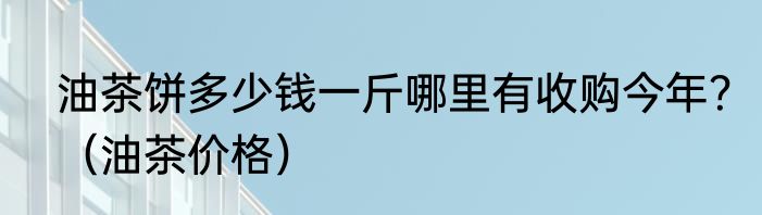 油茶饼多少钱一斤哪里有收购今年？（油茶价格）