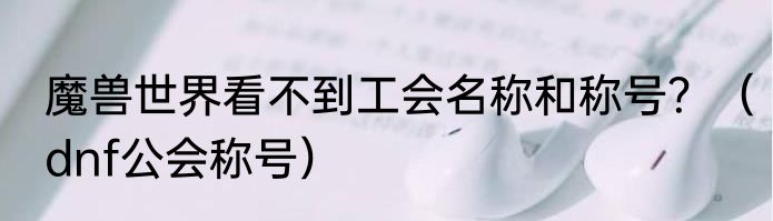 魔兽世界看不到工会名称和称号？（dnf公会称号）