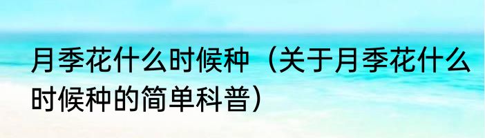 月季花什么时候种（关于月季花什么时候种的简单科普）