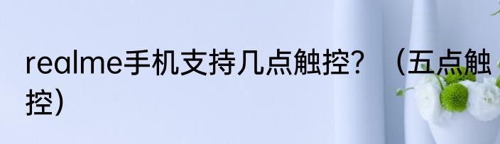 realme手机支持几点触控？（五点触控）