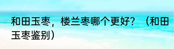 和田玉枣，楼兰枣哪个更好？（和田玉枣鉴别）