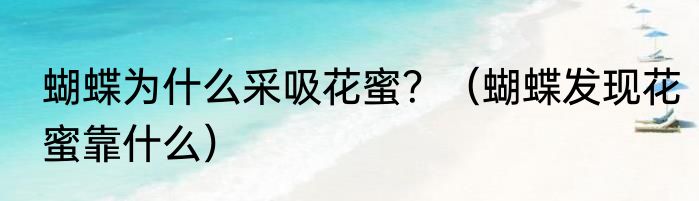 蝴蝶为什么采吸花蜜？（蝴蝶发现花蜜靠什么）