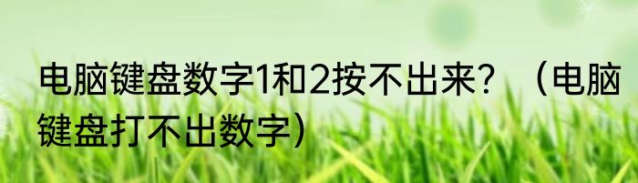 电脑键盘数字1和2按不出来？（电脑键盘打不出数字）