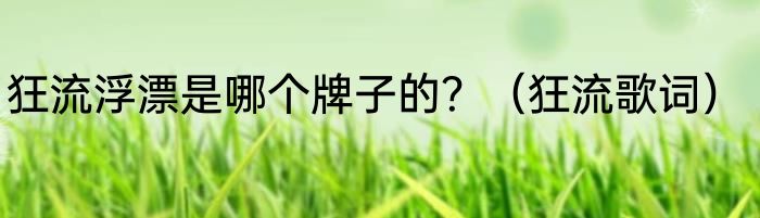 狂流浮漂是哪个牌子的？（狂流歌词）