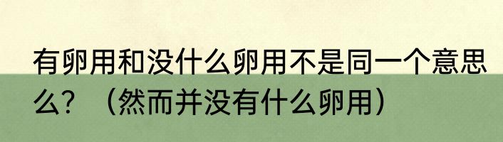 有卵用和没什么卵用不是同一个意思么？（然而并没有什么卵用）