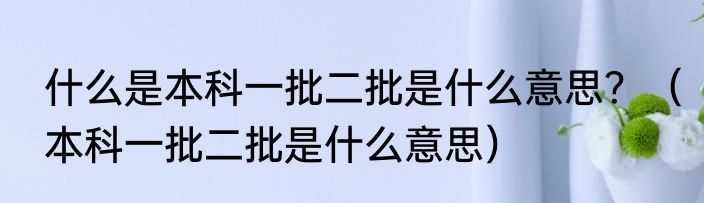 什么是本科一批二批是什么意思？（本科一批二批是什么意思）