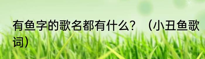 有鱼字的歌名都有什么？（小丑鱼歌词）