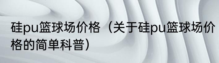 硅pu篮球场价格（关于硅pu篮球场价格的简单科普）