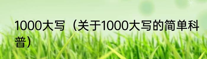 1000大写（关于1000大写的简单科普）