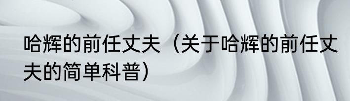 哈辉的前任丈夫（关于哈辉的前任丈夫的简单科普）