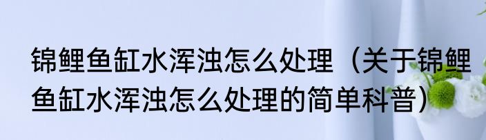 锦鲤鱼缸水浑浊怎么处理（关于锦鲤鱼缸水浑浊怎么处理的简单科普）