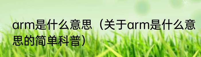 arm是什么意思（关于arm是什么意思的简单科普）
