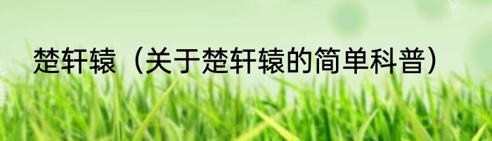 楚轩辕（关于楚轩辕的简单科普）