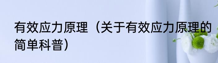 有效应力原理（关于有效应力原理的简单科普）