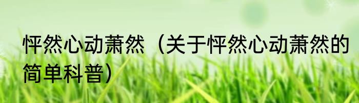 怦然心动萧然（关于怦然心动萧然的简单科普）