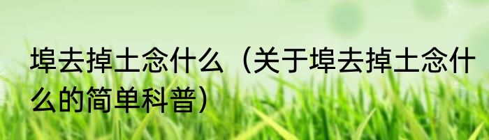 埠去掉土念什么（关于埠去掉土念什么的简单科普）