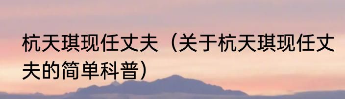 杭天琪现任丈夫（关于杭天琪现任丈夫的简单科普）