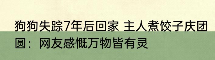 狗狗失踪7年后回家 主人煮饺子庆团圆：网友感慨万物皆有灵