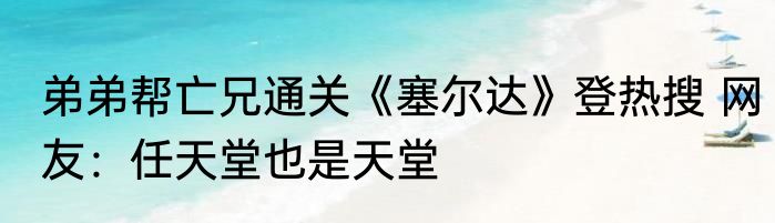 弟弟帮亡兄通关《塞尔达》登热搜 网友：任天堂也是天堂
