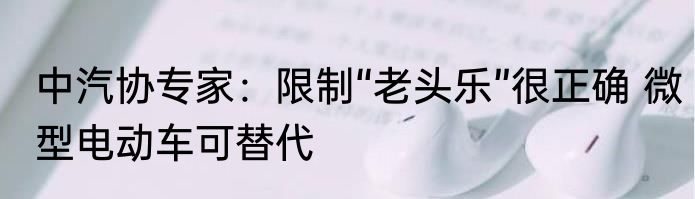 中汽协专家：限制“老头乐”很正确 微型电动车可替代
