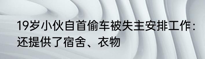 19岁小伙自首偷车被失主安排工作：还提供了宿舍、衣物