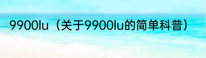 9900lu（关于9900lu的简单科普）