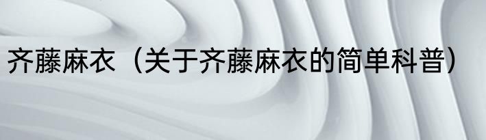 齐藤麻衣（关于齐藤麻衣的简单科普）