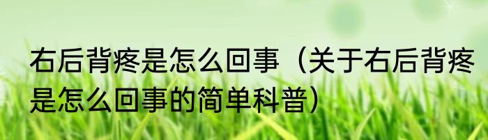 右后背疼是怎么回事（关于右后背疼是怎么回事的简单科普）