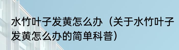水竹叶子发黄怎么办（关于水竹叶子发黄怎么办的简单科普）
