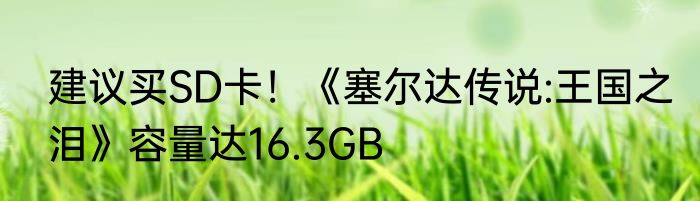 建议买SD卡！《塞尔达传说:王国之泪》容量达16.3GB
