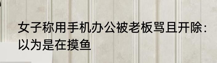 女子称用手机办公被老板骂且开除：以为是在摸鱼